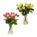 Bild 1 von GARDENLINE Fairtrade-Rosen