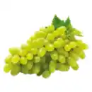 Bild 1 von Trauben hell