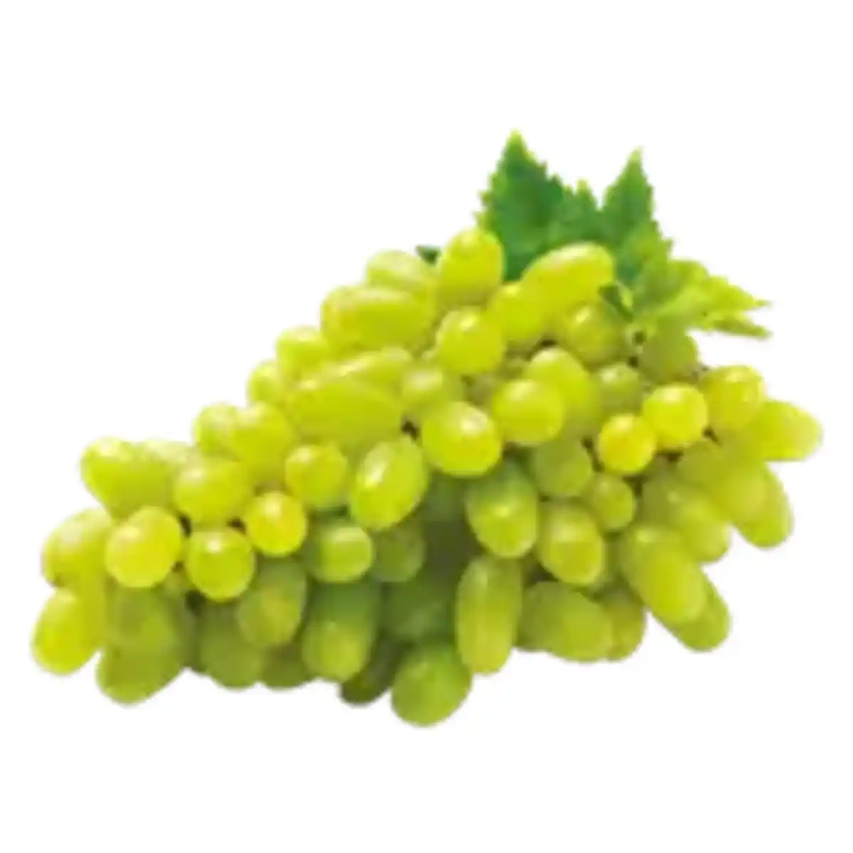 Bild 1 von Trauben hell
