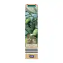 Bild 4 von GARDENLINE Mediterrane Pflanze