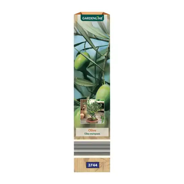 Bild 4 von GARDENLINE Mediterrane Pflanze