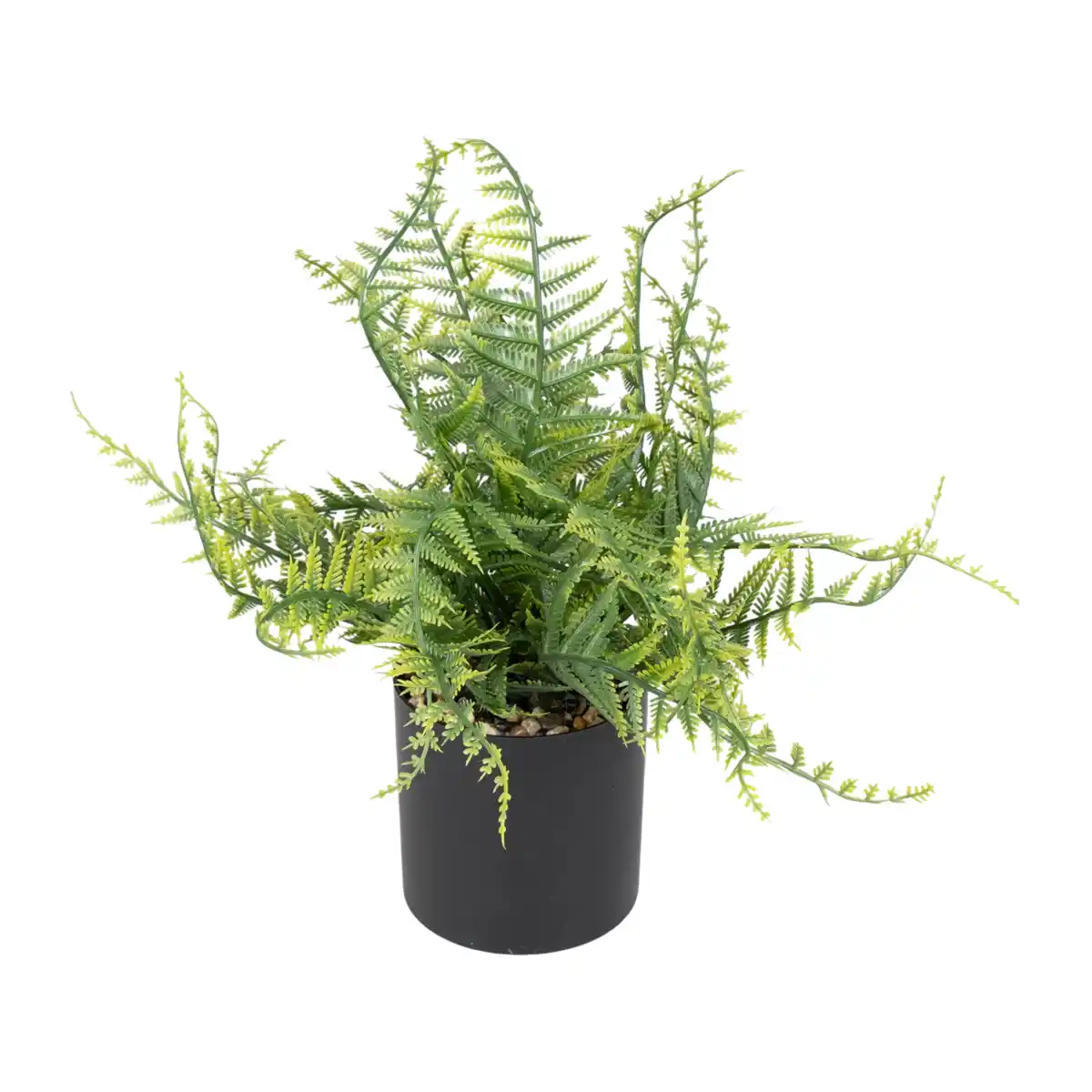 Bild 3 von HOME CREATION Künstliche Pflanze