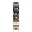 Bild 3 von GARDENLINE Mediterrane Pflanze