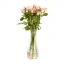 Bild 4 von GARDENLINE Rosen