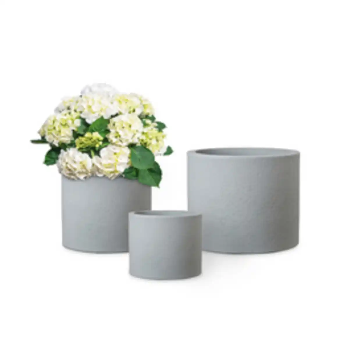 Bild 4 von CASAYA Pflanzgefäß »Roma«, 50 x 41 cm (ØxH), Kunststoff, steingrau