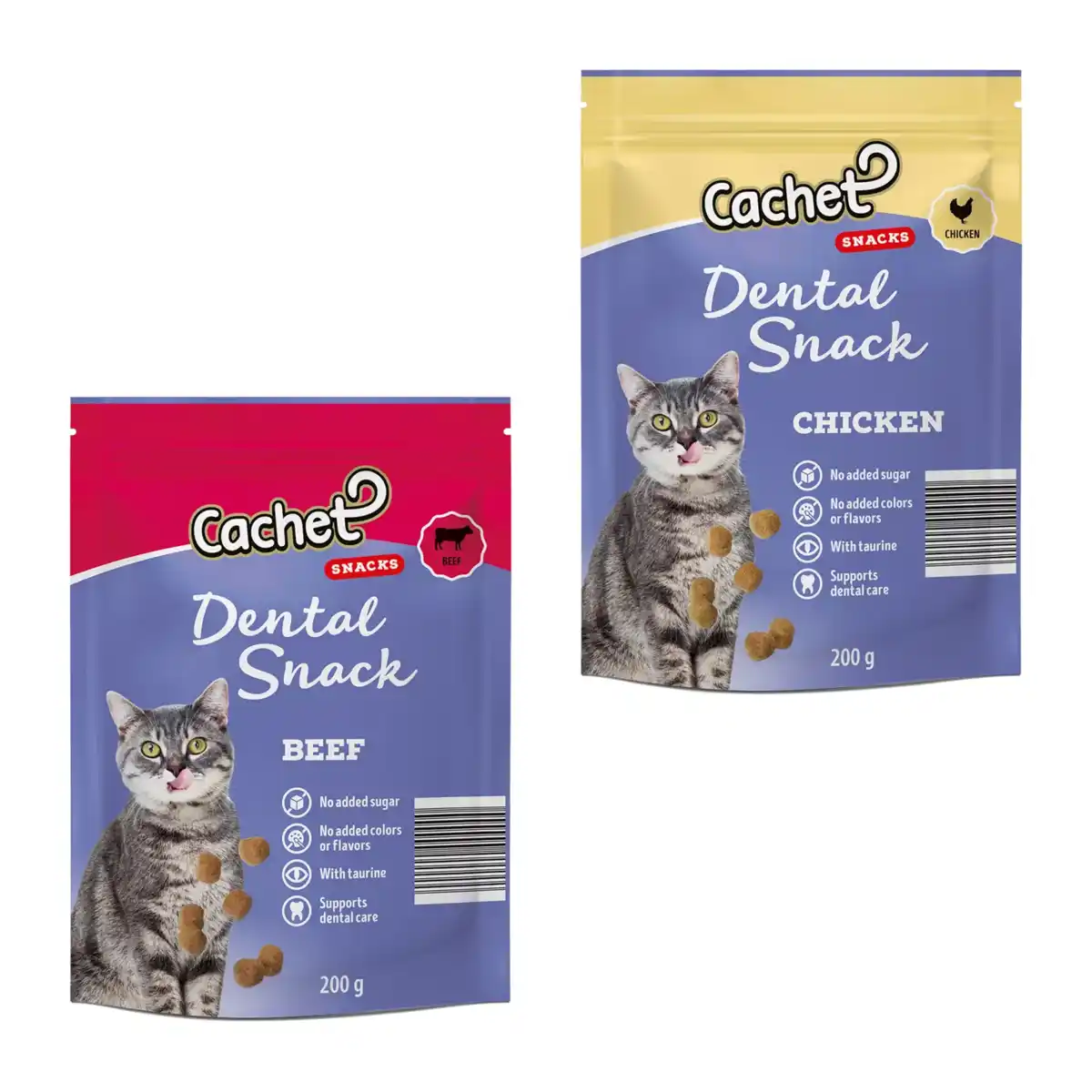 Bild 1 von CACHET Dental-Snack