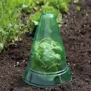 Bild 2 von Pflanzenhut 15er Set