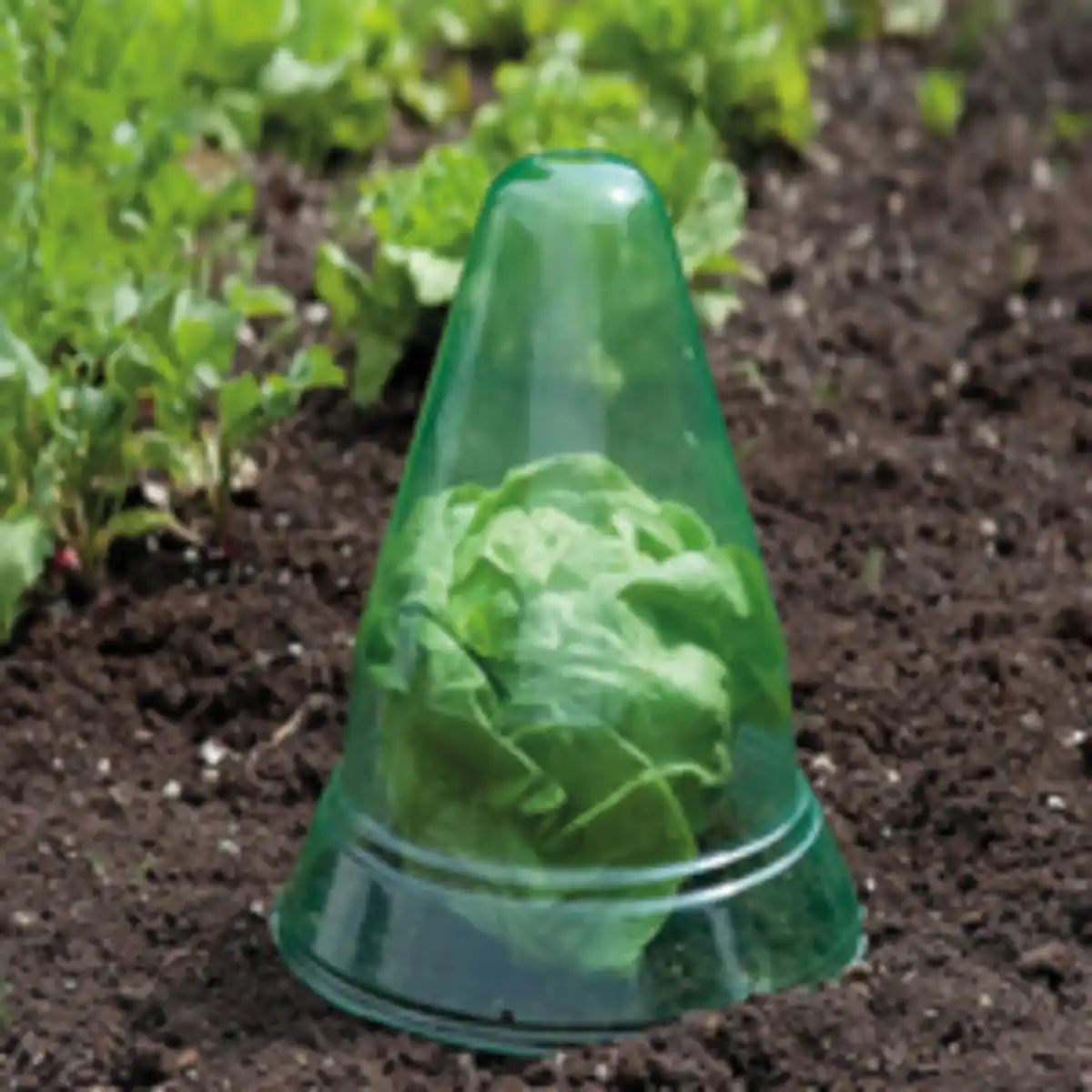 Bild 2 von Pflanzenhut 15er Set