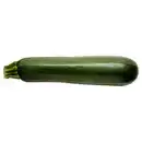 Bild 1 von Bio Zucchini 500 g