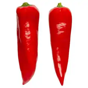 Bio Spitzpaprika rot 180 g