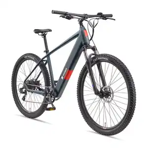 MTB E-Bike Herren Mountainbike M921 29 Zoll Hinterradmotor 7-Gang Kettenschaltung