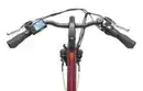 Bild 4 von City E-Bike RC845 Multitalent mit 7-Gang Shimano Nabenschaltung, Weinrot