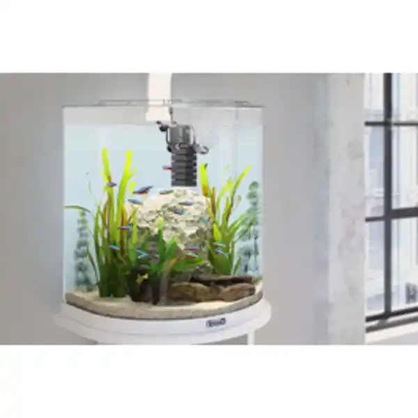 Bild 2 von TETRA Filter »Innenfilter FilterJet«, 12 W, für Aquarien bis: 230 l, schwarz