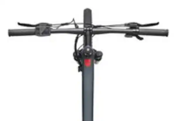 Bild 4 von MTB E-Bike Herren Mountainbike M921 29 Zoll Hinterradmotor 7-Gang Kettenschaltung