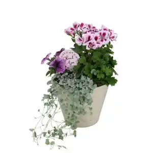 GARDENLINE Tongefäß bepflanzt