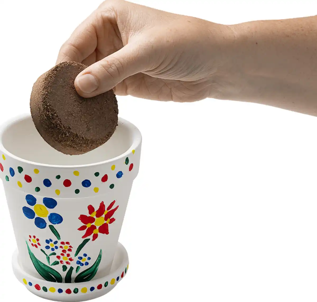Bild 4 von IDEENWELT Blumentopf Malset