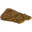 Bild 2 von EXO TERRA Dekofigur »Turtle Bank«, EX Turtle Bank medium, Kunststoff, braun