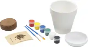 IDEENWELT Blumentopf Malset