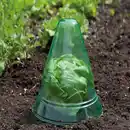 Bild 4 von Pflanzenhut 15er Set