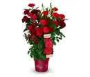 Bild 1 von Rose »Shades of Red«