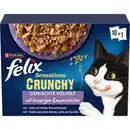 Bild 1 von Felix Sensations Crunchy 10x85g + 40g Knusperstückchen Geschmacksvielfalt mit Gemüse