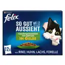 Bild 1 von Felix So gut wie es aussieht 12x85g Geschmacksvielfalt mit Gemüse