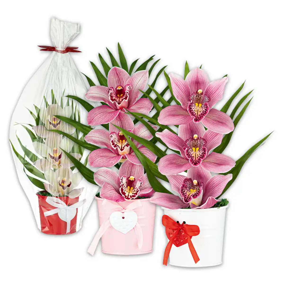 Bild 1 von Orchideengesteck