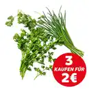 Bild 1 von Dtsch./span. Kräuter, 25-g-Packg.
