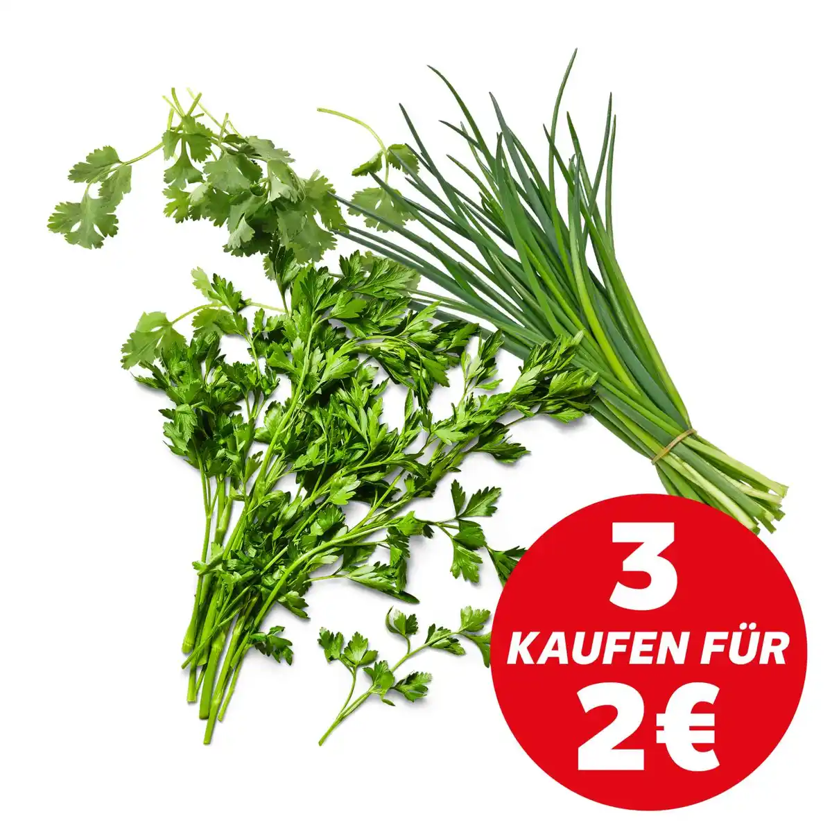Bild 1 von Dtsch./span. Kräuter, 25-g-Packg.