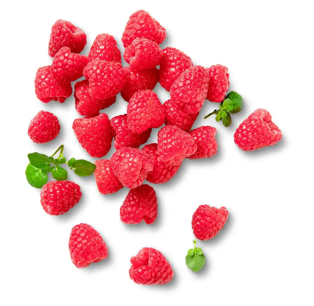 Bild 1 von Portug./marokk. Himbeeren, 125-g-Packg.