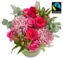 Bild 1 von Fairtrade-Strauß „Whisper“*