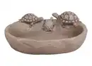 Bild 1 von Vogeltränke mit Schildkröten 31x26cm