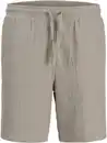 Bild 3 von Jack & Jones JPSTJAIDEN PATRAS JOG Shorts Grün