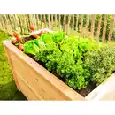 Bild 3 von Westmann Hochbeet Lärche 170 cm x 90 cm x 84 cm Natur FSC®