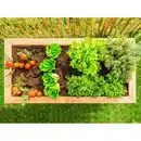 Bild 4 von Westmann Hochbeet Lärche 170 cm x 90 cm x 84 cm Natur FSC®