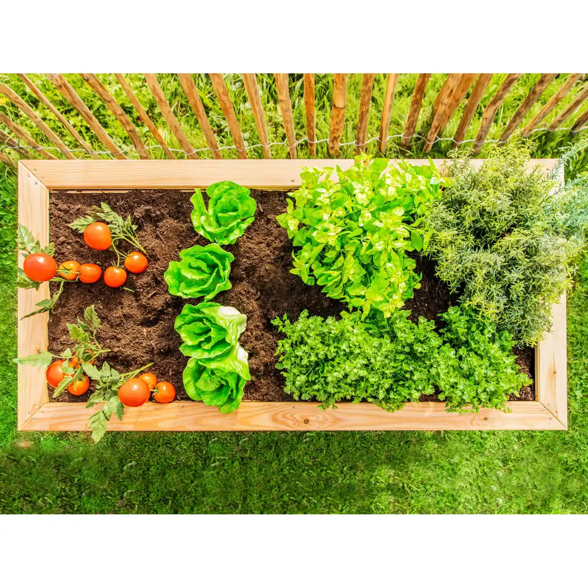 Bild 4 von Westmann Hochbeet Lärche 170 cm x 90 cm x 84 cm Natur FSC®