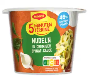 MAGGI 5 Minuten Terrine