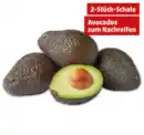 Bild 1 von Ungereifte Avocado