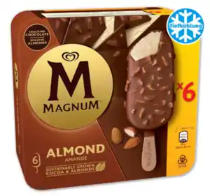 MAGNUM Stieleis*