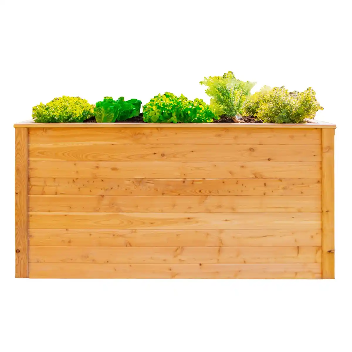 Bild 1 von Westmann Hochbeet Lärche 170 cm x 90 cm x 84 cm Natur FSC®
