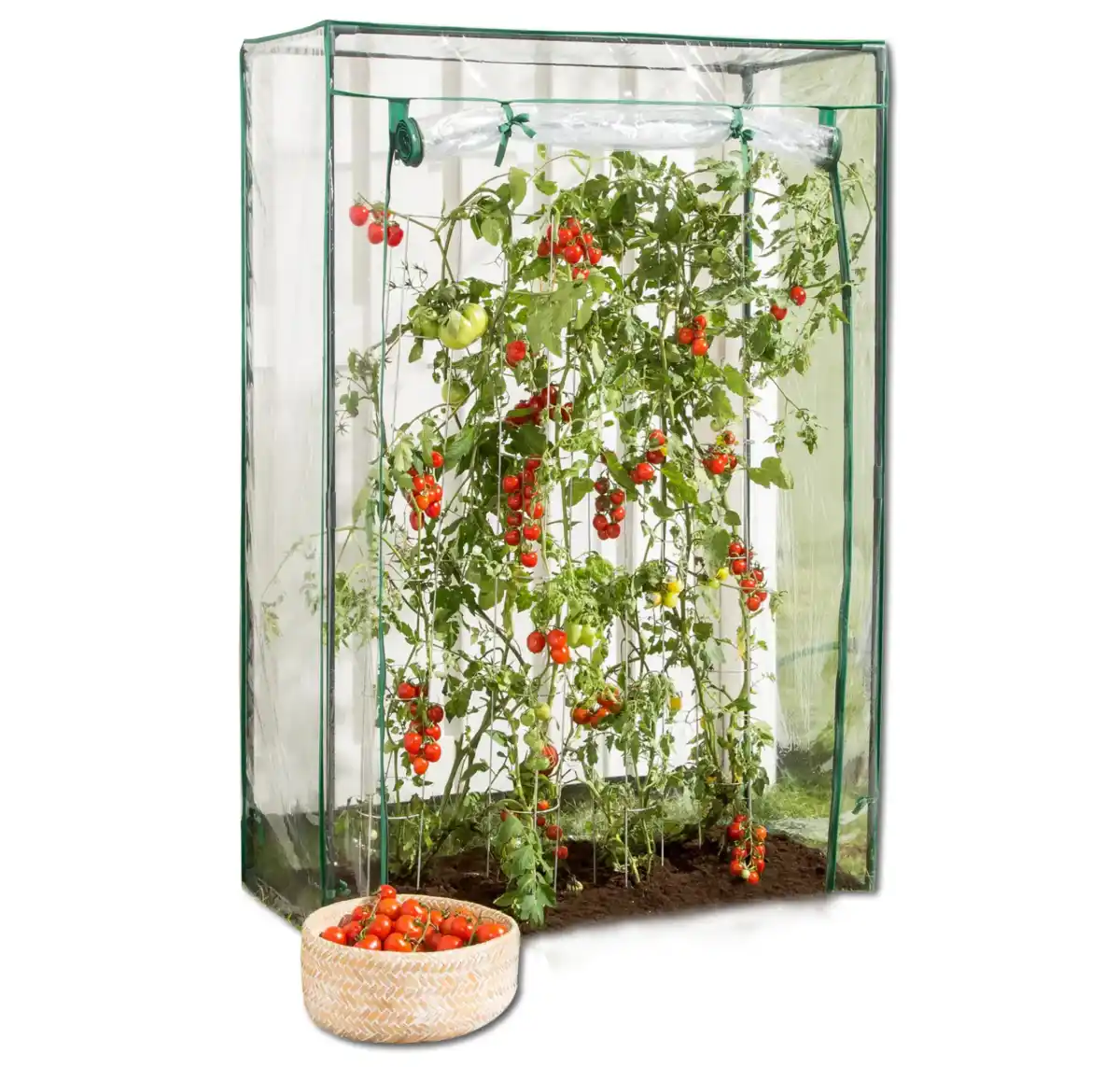 Bild 1 von Tomaten-Gewächshaus