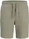 Bild 3 von Jack & Jones JPSTJAIDEN PATRAS JOG Shorts Grün