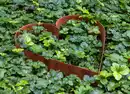 Bild 1 von Metall Dekoherz  35x7x35cm