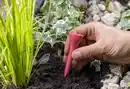 Bild 3 von IDEENWELT 5er Set Bienen-Wasserstelle