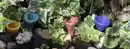 Bild 1 von IDEENWELT Gartenbrause