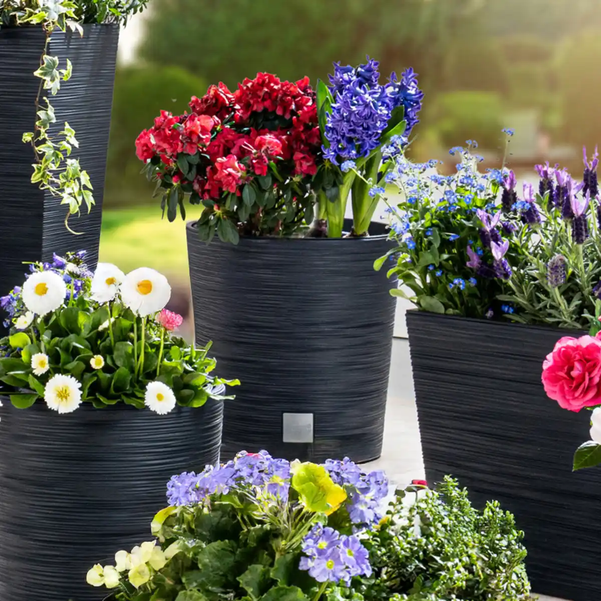 Bild 1 von Powertec Garden Pflanzgefäß rund