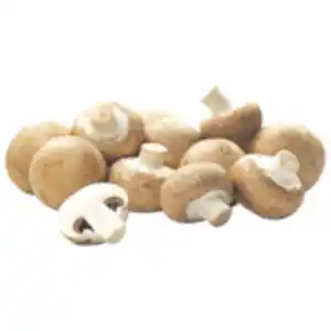 Braune Champignons