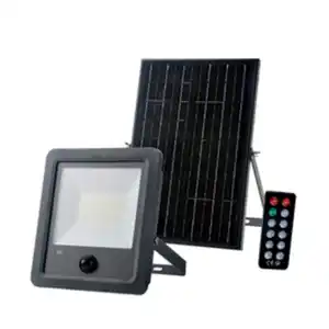 CASAYA LED-Strahler »Eckhard«, mit Solarpanel 12W, schwarz