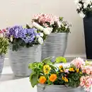 Bild 1 von Powertec Garden Blumentopf
