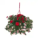 Bild 2 von GARDENLINE Blühmix-Ampel